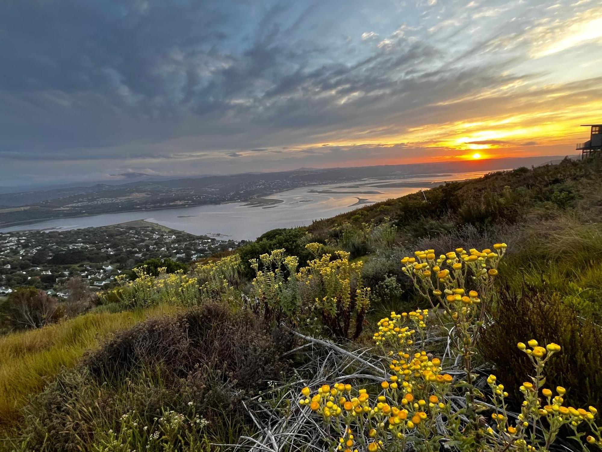 Die Uitzicht Guesthouse - Knysna Eksteriør bilde